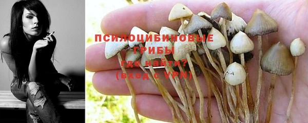 кокс Лагань