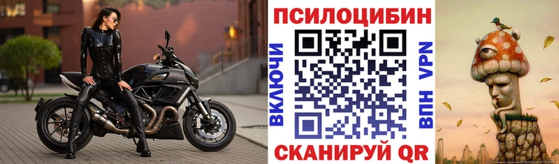 Псилоцибиновые грибы Psilocybe  Купить  Озёрск 